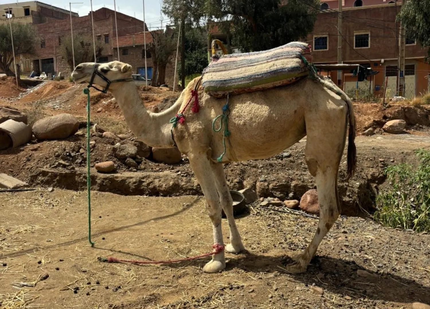 Villa Jamel Marrakech Zac Marrakesz Maroko